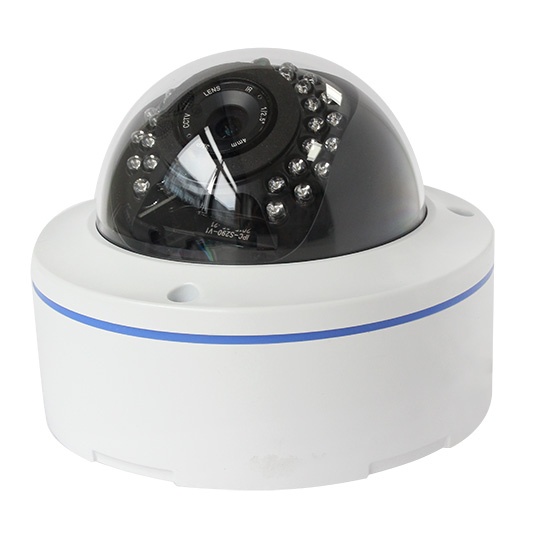 Facial Recognition IP Dome Camera